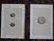 Antique 19th Century Hand Colored Egg Lithographs - Set of 9 For Sale In Cincinnati - Image 6 of 10