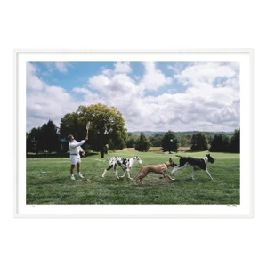 "Fetch", Contemporary Framed Photograph by Nick Mele, Medium