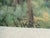 1950s Vintage 1950s Cottage Garden Landscape Print in Chippy Gold Wood Frame For Sale - Image 5 of 7