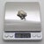 Vintage Italian Genuine Silver 800 Sea Turtle Dollhouse Miniature by Arezzo Tuscany Silversmiths, 1980s For Sale - Image 10 of 12