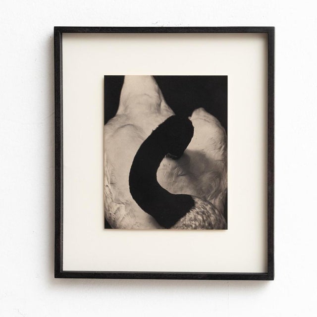 Albarran & Cabrera, Mouth of Krishna, Photographic Print, 2010s For Sale - Image 4 of 12