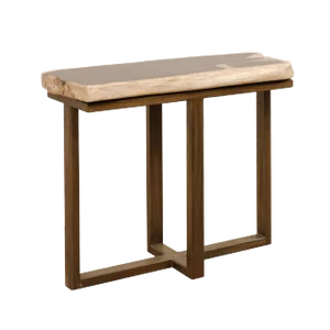 Petrified Wood Console Table on Custom Modern Base
