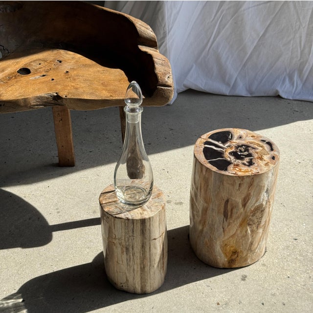 Beige Multicoloured Petrified Wood Side Table For Sale - Image 8 of 16