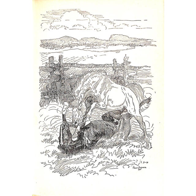 "Great Horse Stories Truth and Fiction" 1946 Cooper, Page For Sale - Image 11 of 12