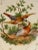 Late 19th Century Antique 19th Century Hand-Painted Bird Plates- a Pair For Sale - Image 5 of 6