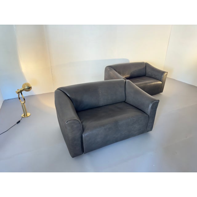 DS 47 Buffalo Leather Grey Sofa Two-Seater from De Sede, 1980s For Sale - Image 13 of 14