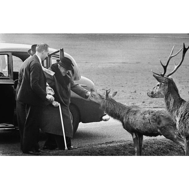 Churchill in Richmond Park (1963) - Silver Gelatin Fibre Print (Photo by Terry Fincher/Express/Hulton Archive/Getty Images...