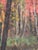 Antique Impressionist Forest Oil Painting, Ukrainian Art, 1970s 36-27 For Sale - Image 4 of 6