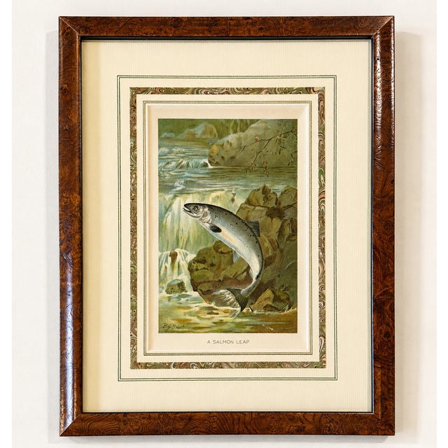 Rustic Salmon Leap Antique Sporting Fish Print, Circa 1899, Framed For Sale - Image 3 of 4