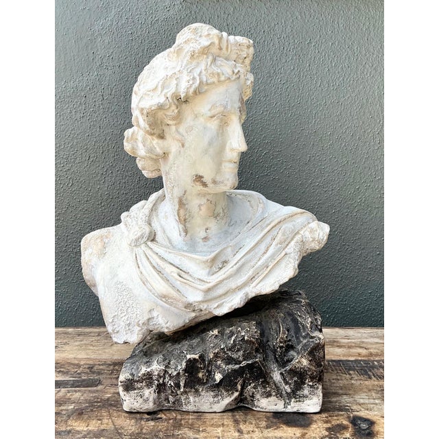 Mid 20th Century Vintage Cast Stone Bust of Apollo Belvedere For Sale - Image 5 of 18