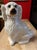 Antique Decorated Staffordshire Spaniel Dog, Circa 1860's For Sale - Image 12 of 14