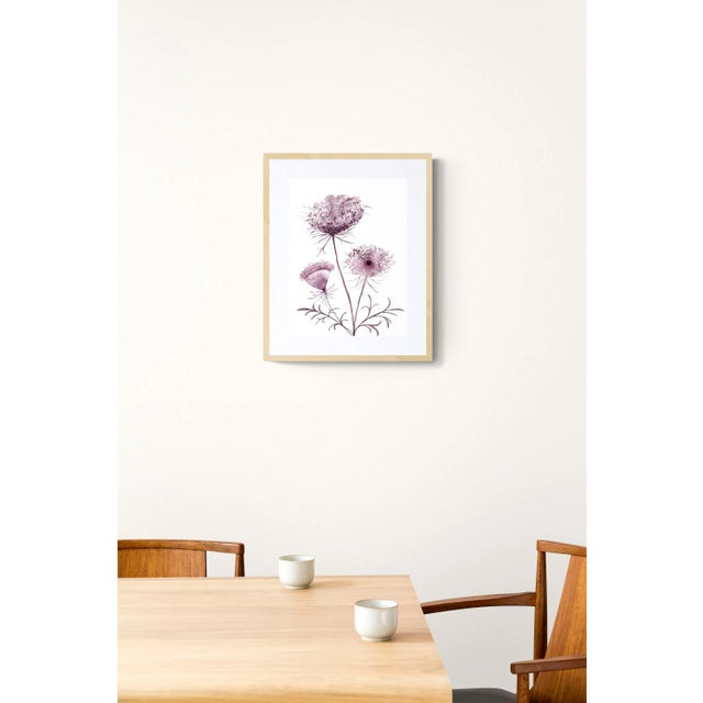 Original watercolor painting on 140 lb cold press paper Artist: Elizabeth Becker Year: 2023 Image and Paper Size: 12" x...