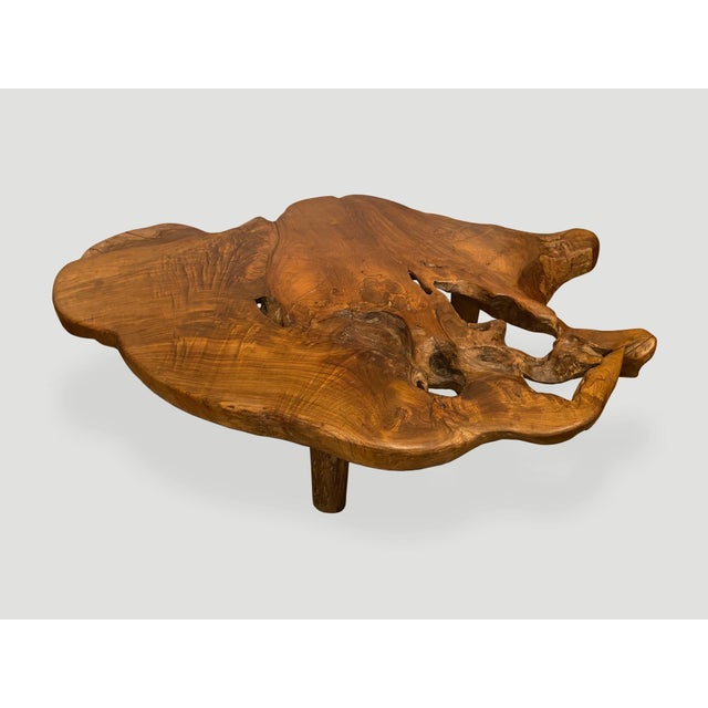 Andrianna Shamaris Organic Teak Root Coffee Table For Sale - Image 9 of 18