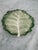 Fitz and Floyd Pair of Fitz & Floyd Porcelain Cabbage Leaf Appetizer Plates For Sale - Image 4 of 5