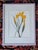 Printmaking Materials Henry Evans Botanical Linocut Prints Framed- Set of 4 For Sale - Image 7 of 17