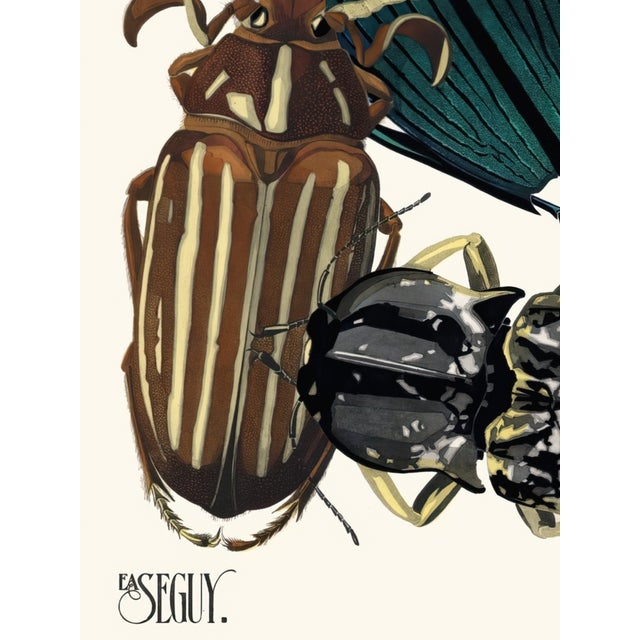 Insects Plate 05 by Emile-Allain Séguy, Vintage Art Print Reproduction, 18" × 24" For Sale - Image 4 of 6