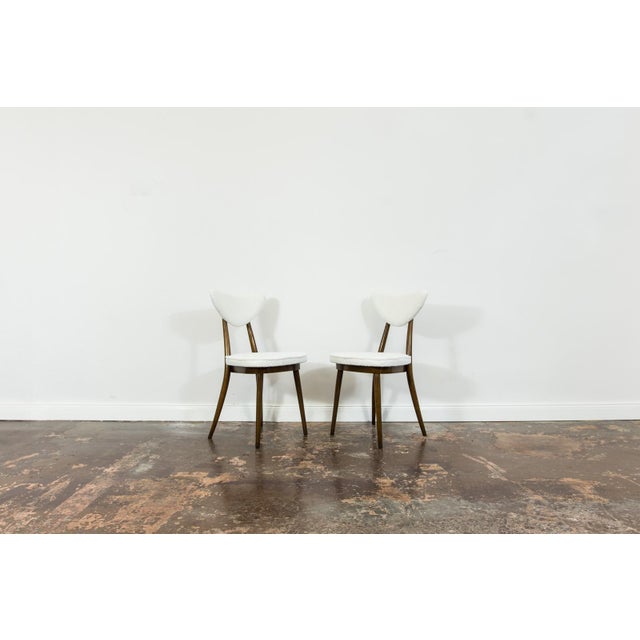 1950s Mid-Century Modern Dining Chairs by H & J Kurmanowicz, Poland, 1950s, Set of 6 For Sale - Image 5 of 17