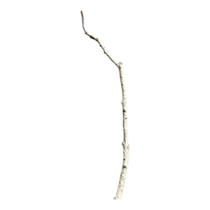 Birchwood Branch Piece for Decoration, Style E