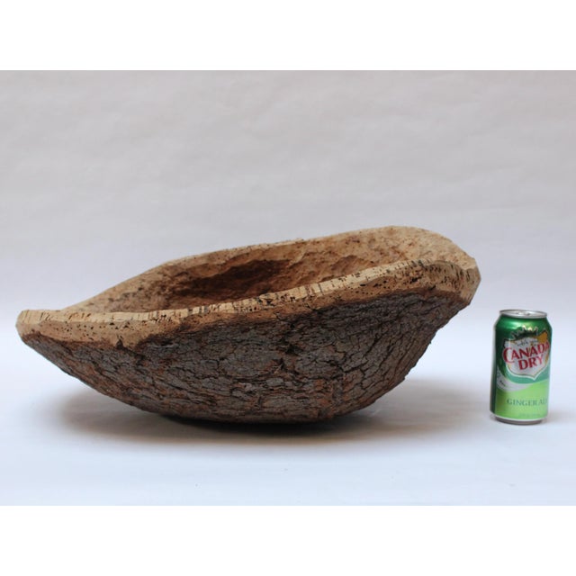 Wood Large Cork Bark Decorative Bowl For Sale - Image 7 of 13