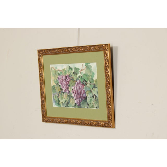 Traditional Libby Anderson Watercolor, Still Life of Grapevine For Sale - Image 3 of 12