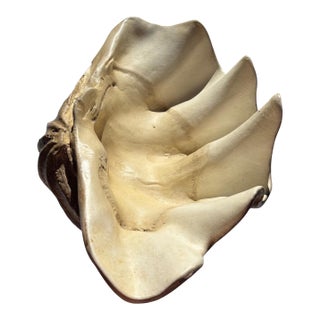 Large Faux Giant Clam Shell Centerpiece Bowl For Sale