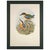 19th Century Rare Gould Pattern Pair | Hand-Colored Pitta Lithographs From John Gould’s Birds of Asia - Set of 2 For Sale In Columbus - Image 6 of 13