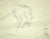 Portrait is an original drawing in pencil on paper realized by Simon Goldberg (1913-1985). Hand-signed in pencil on the...