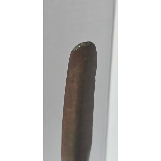 Bronze Parrot Sculpture - Detailed Tropical Bird Statue (9"h X 4"l) For Sale In Philadelphia - Image 6 of 9