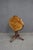 Victorian Black Forest Style Marquetry Walnut & Satinwood Occasional Table For Sale - Image 14 of 15
