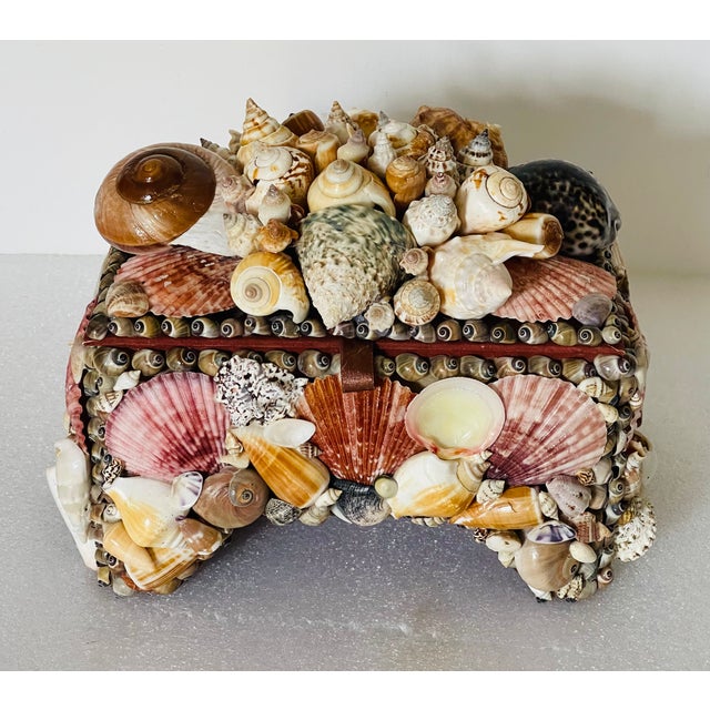 20 th c Richly encrusted with preselected Florida sea shells treasure jewelry box Tony Douquet style.