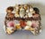 20 th c Richly encrusted with preselected Florida sea shells treasure jewelry box Tony Douquet style.