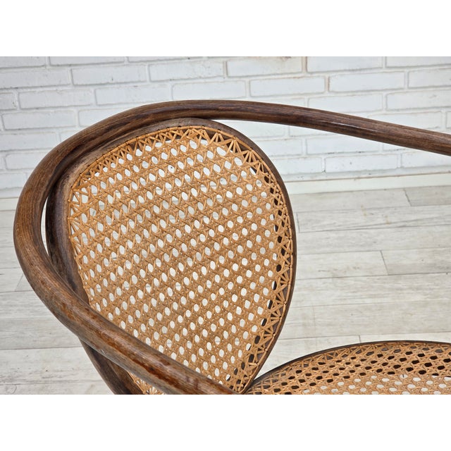Swivel Armchair in Bentwood and Furniture Mesh, 1950s For Sale - Image 4 of 18