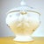 White Porcelain Soup Tureen from Ginori For Sale - Image 8 of 14