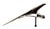 Mid 20th Century Mid-Century Modern “Flying Eagle” Hood Ornament Presented as Decorative Sculpture For Sale - Image 5 of 10