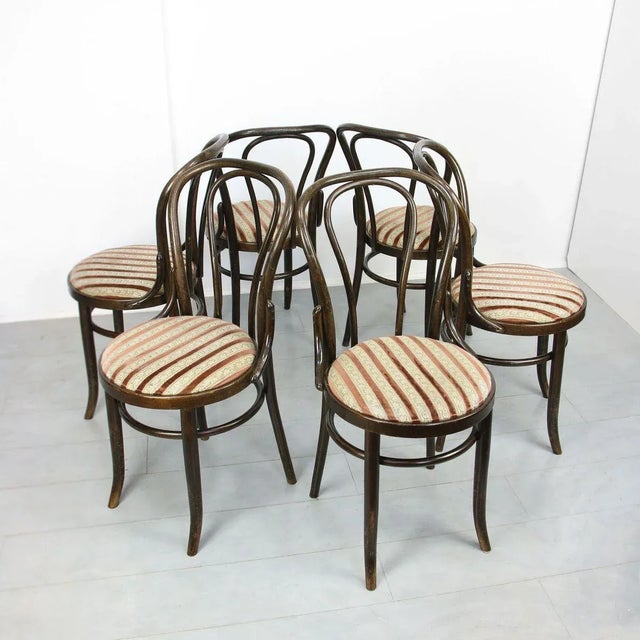Set of Plush Upholstered Dining Chairs by Michael Thonet, 1970s For Sale - Image 11 of 18
