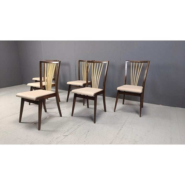 Beige Mid-Century Italian Dining Chairs, 1950s, Set of 6 For Sale - Image 8 of 16