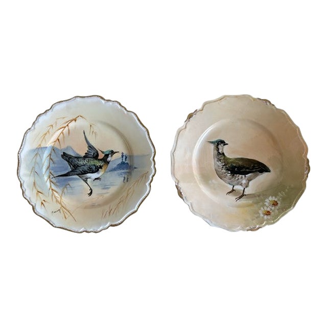 Late 19th Century Hand Painted Limoges Bird Plates, Blakeman & Henderson- Set of 2 For Sale