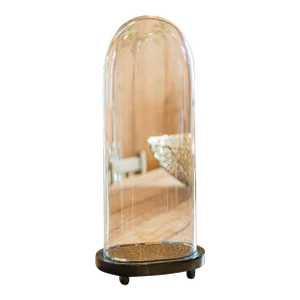 1900's Oval Antique Diorama Dome