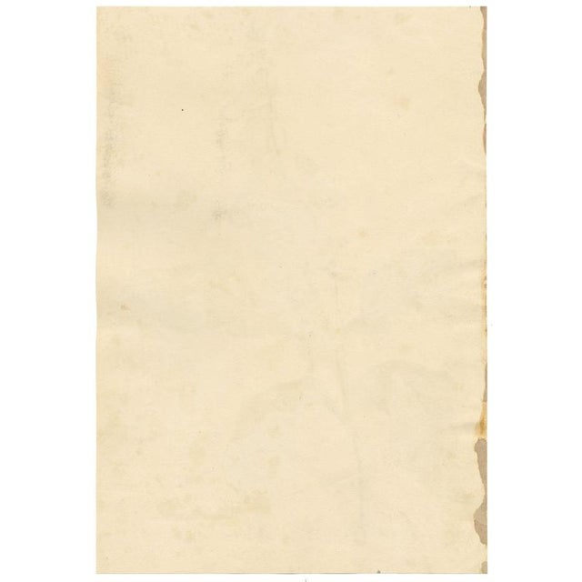 E.B.R., Foxglove (Digitalis) Flower, Watercolour For Sale - Image 5 of 7