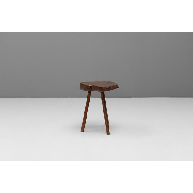 Brown Root Top Tripod Table, 1900 For Sale - Image 8 of 8