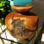 Burlwood Hand Turned Vase Brutalist Decor For Sale - Image 4 of 11