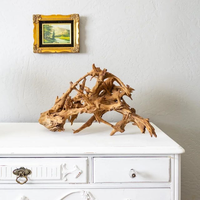 Brutalist Organic Driftwood Root Ball Wood Sculpture For Sale - Image 3 of 13