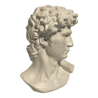 White David Statue Bust Head For Sale