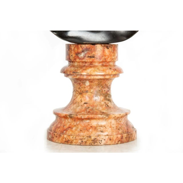 Italian Grand Tour Bronze Sculpture Bust of Diana by Del Nerro Foundry For Sale - Image 10 of 18
