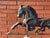 American Early 20th Century Copper Horse Weathervane With Copper Ball and Milk Glass & Wood Stand For Sale - Image 3 of 14