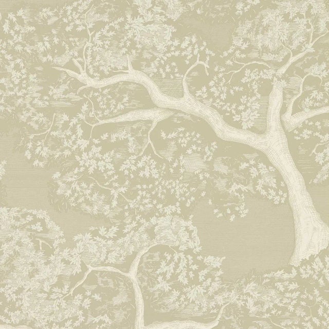Harlequin Eternal Oak Wallpaper in Incense/Pearl For Sale