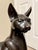 Art Deco Mid 20th Century Large Bronze Art Deco Egyptian Revival Cat Sculpture 24.5” For Sale - Image 3 of 12