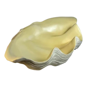 Vintage Coastal Monumental Resin Clam Shell Bowl Decor