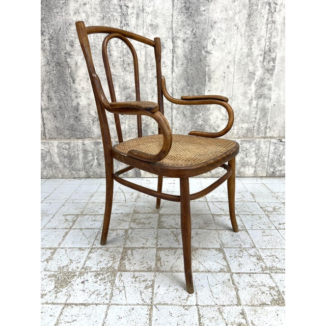 French Individual Bentwood Bistro Chair Carver with Cane Seat, 1920s For Sale - Image 6 of 9