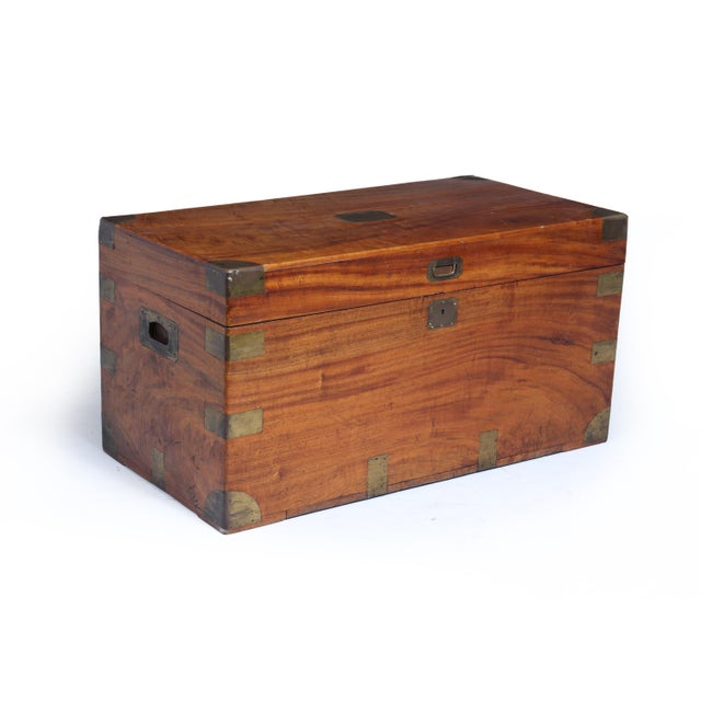 Antique Camphor Wood Military Campaign Chest, 1880 For Sale - Image 15 of 15